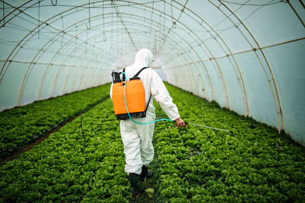 Professional Pest Control in Trooper, PA