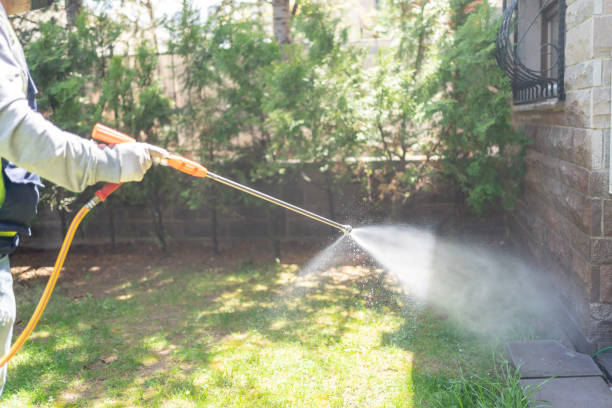 Best Wasp Removal Services  in Trooper, PA