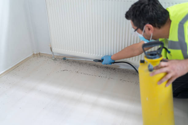 Best Cockroach Control Services  in Trooper, PA