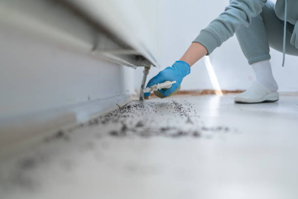 Best Commercial Pest Control Services  in Trooper, PA